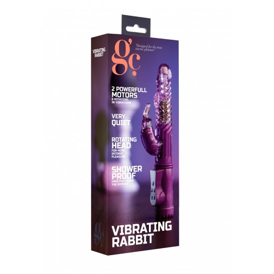 Vibrador com Estimulador clitoris Coelho Rabbit 22cm Roxo